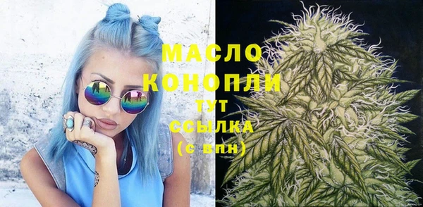 гашик Фурманов