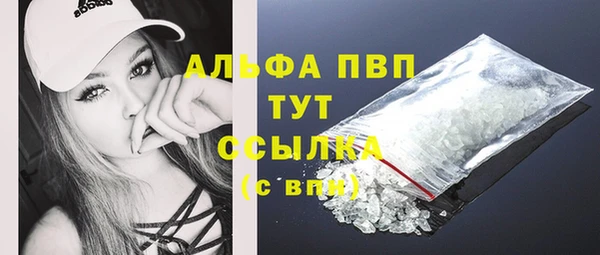 гашик Фурманов