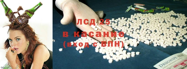 гашик Фурманов