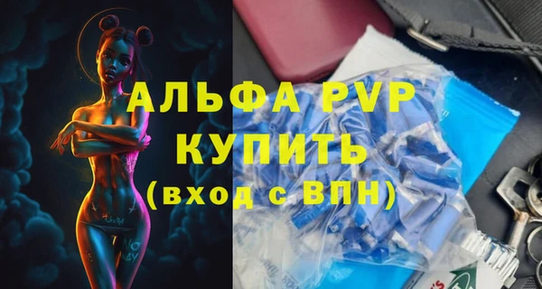 гашик Фурманов