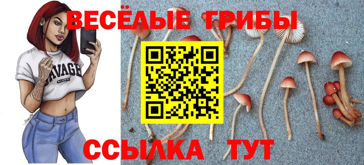 Псилоцибиновые грибы Magic Shrooms  Вход с VPN  Галлюциногенные грибы ЛСД  Челябинск 