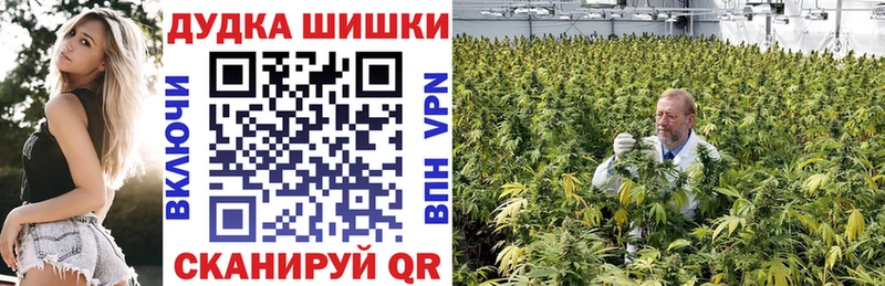 Бошки марихуана Bruce Banner  Челябинск 